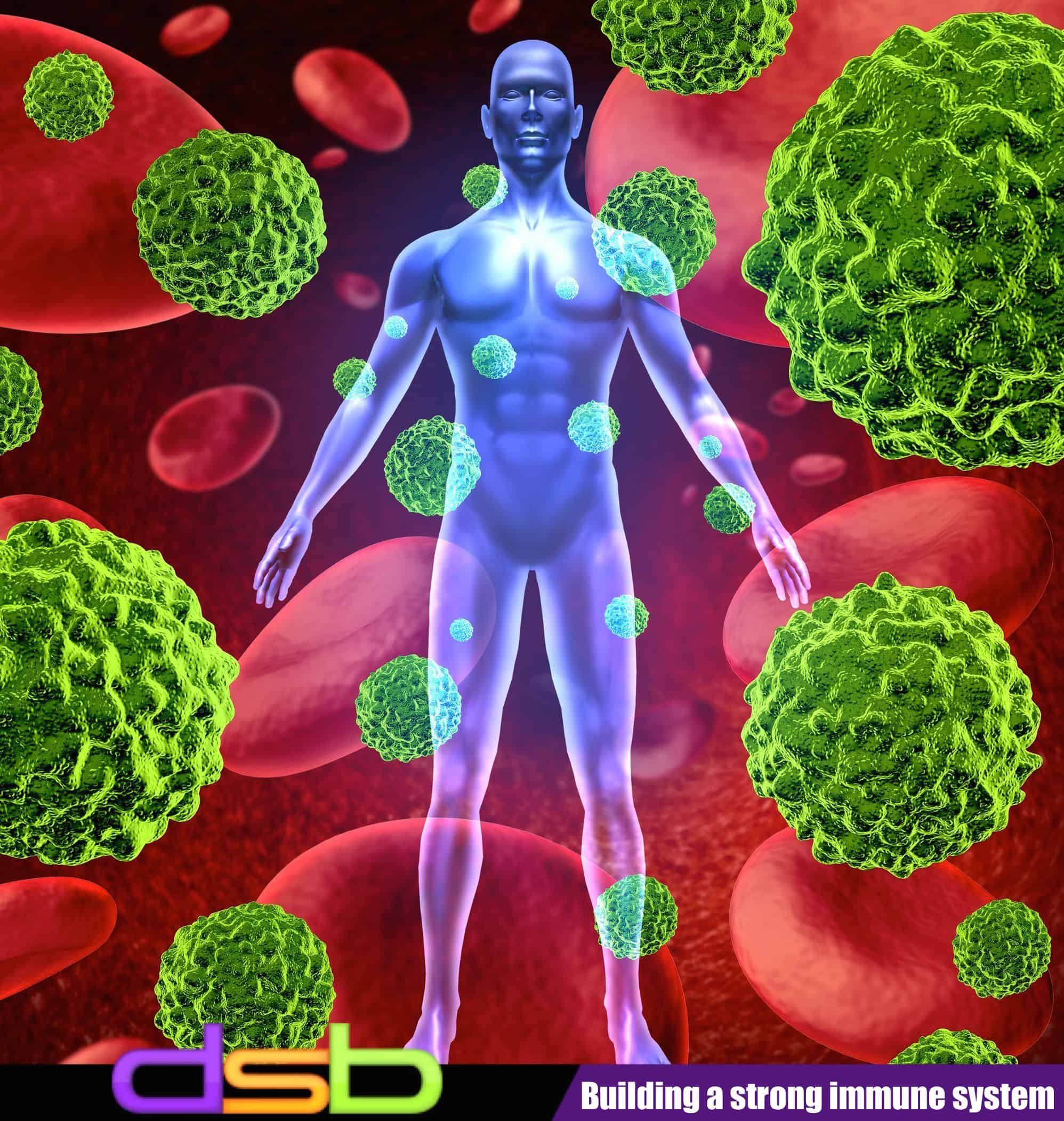 building a strong immune system